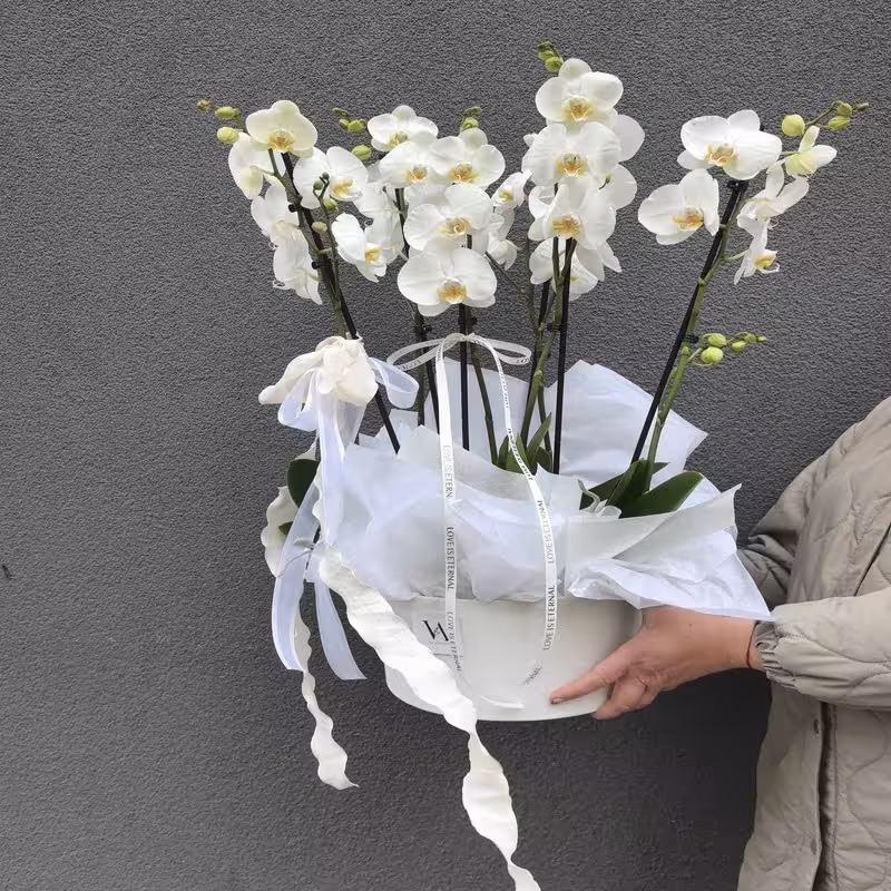Classy White Orchids орхидея кутия цветя